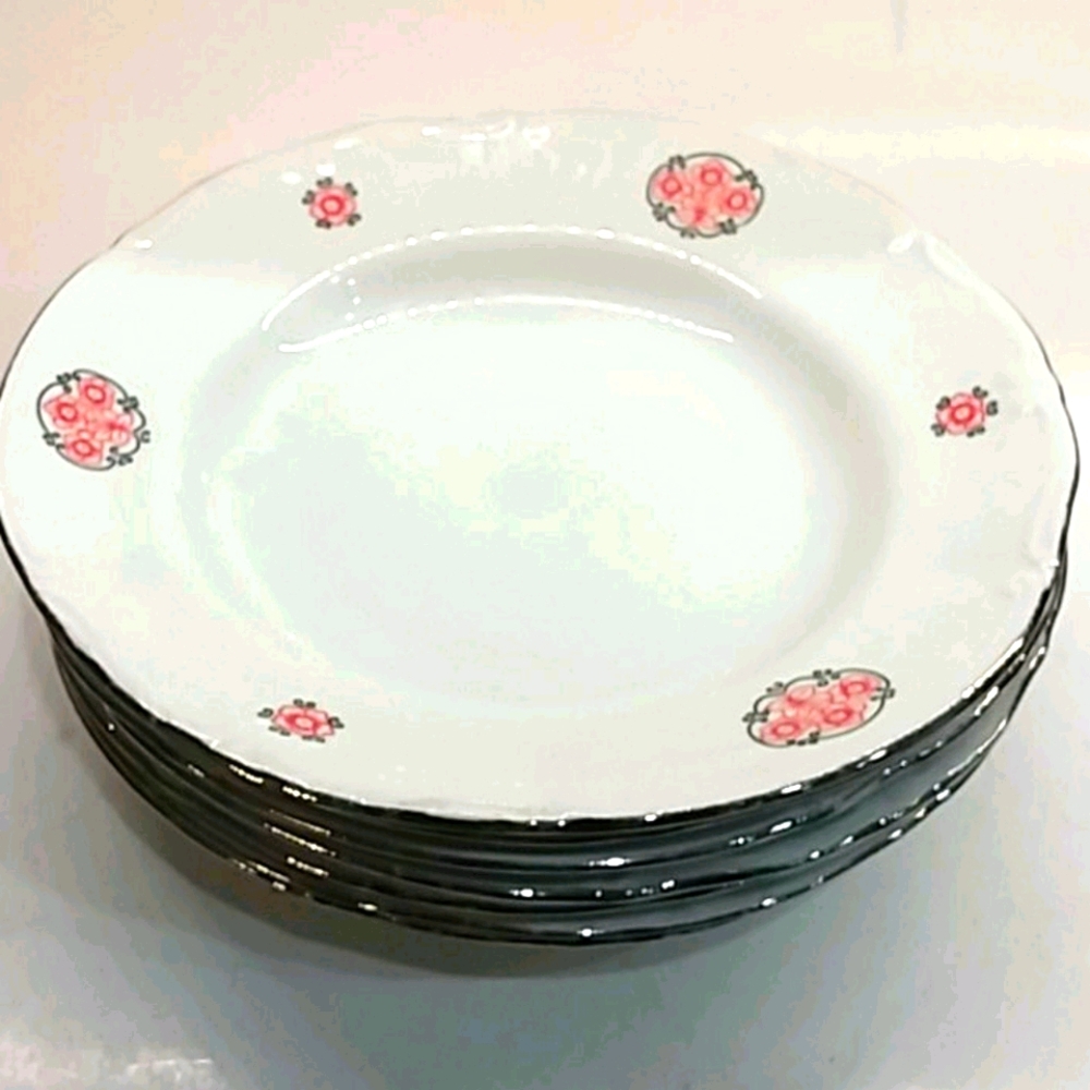 Vtg set of 6 Chodziez made In Poland salad plates